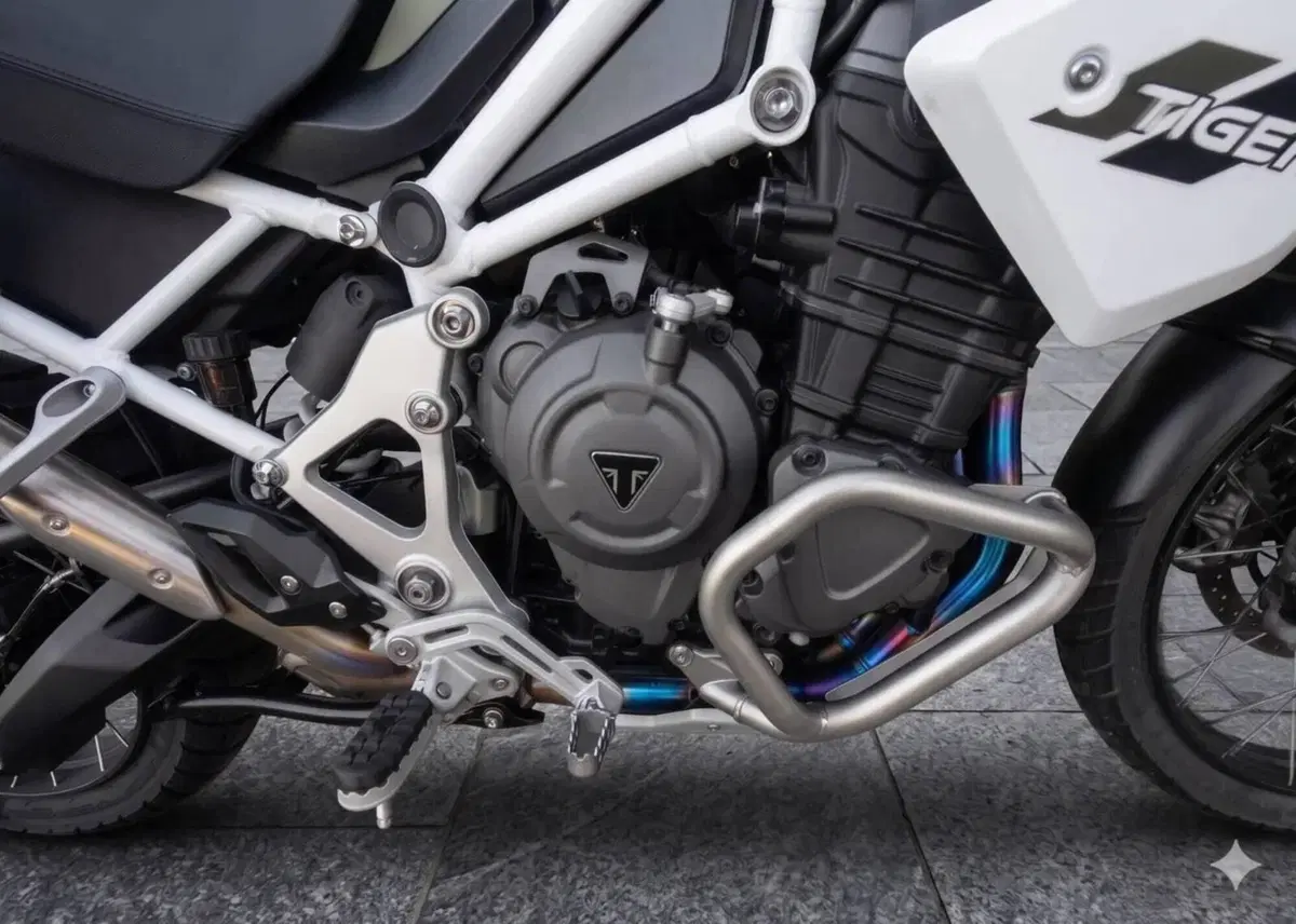Triumph Tiger 1200 Rally Pro (2022 - 23) (2)