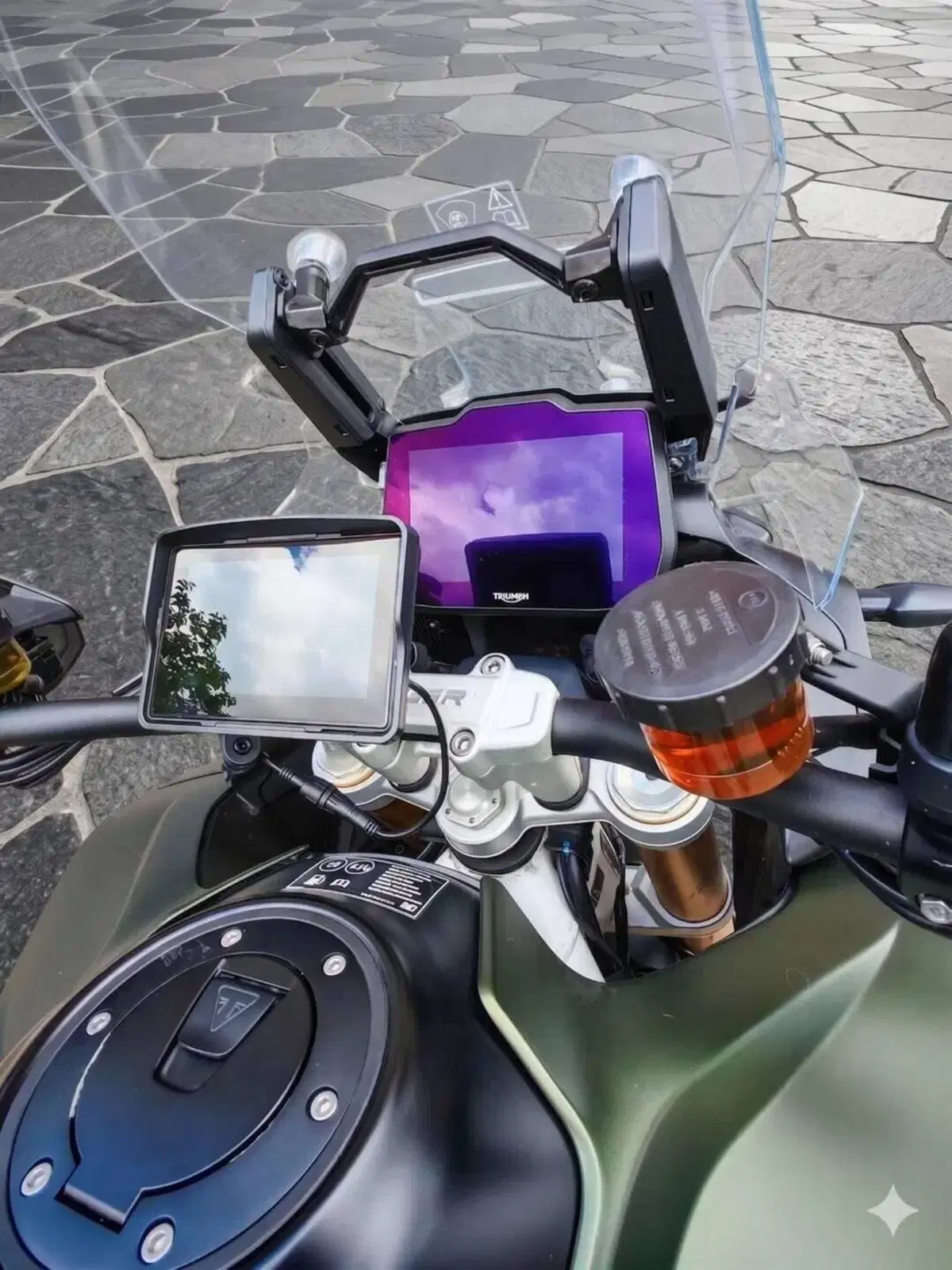 Triumph Tiger 1200 Rally Pro (2022 - 23) (3)