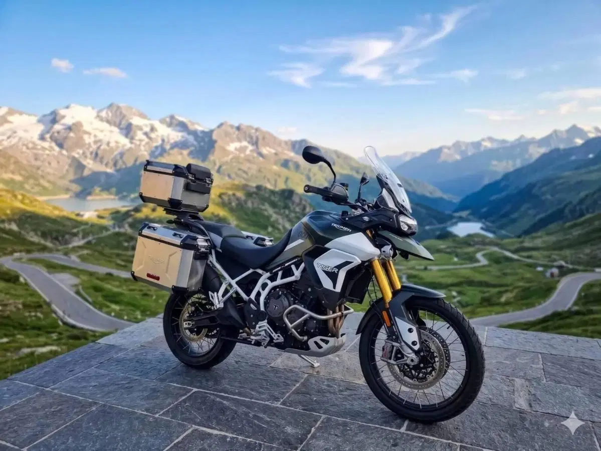Triumph Tiger 1200 Rally Pro (2022 - 23)