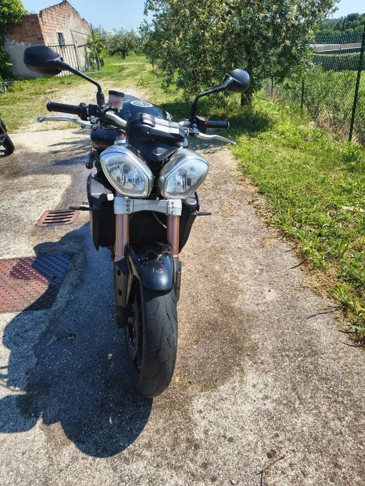 Triumph Speed Triple 1050 (2011 - 13)