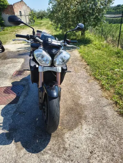 Triumph Speed Triple 1050 (2011 - 13) usata