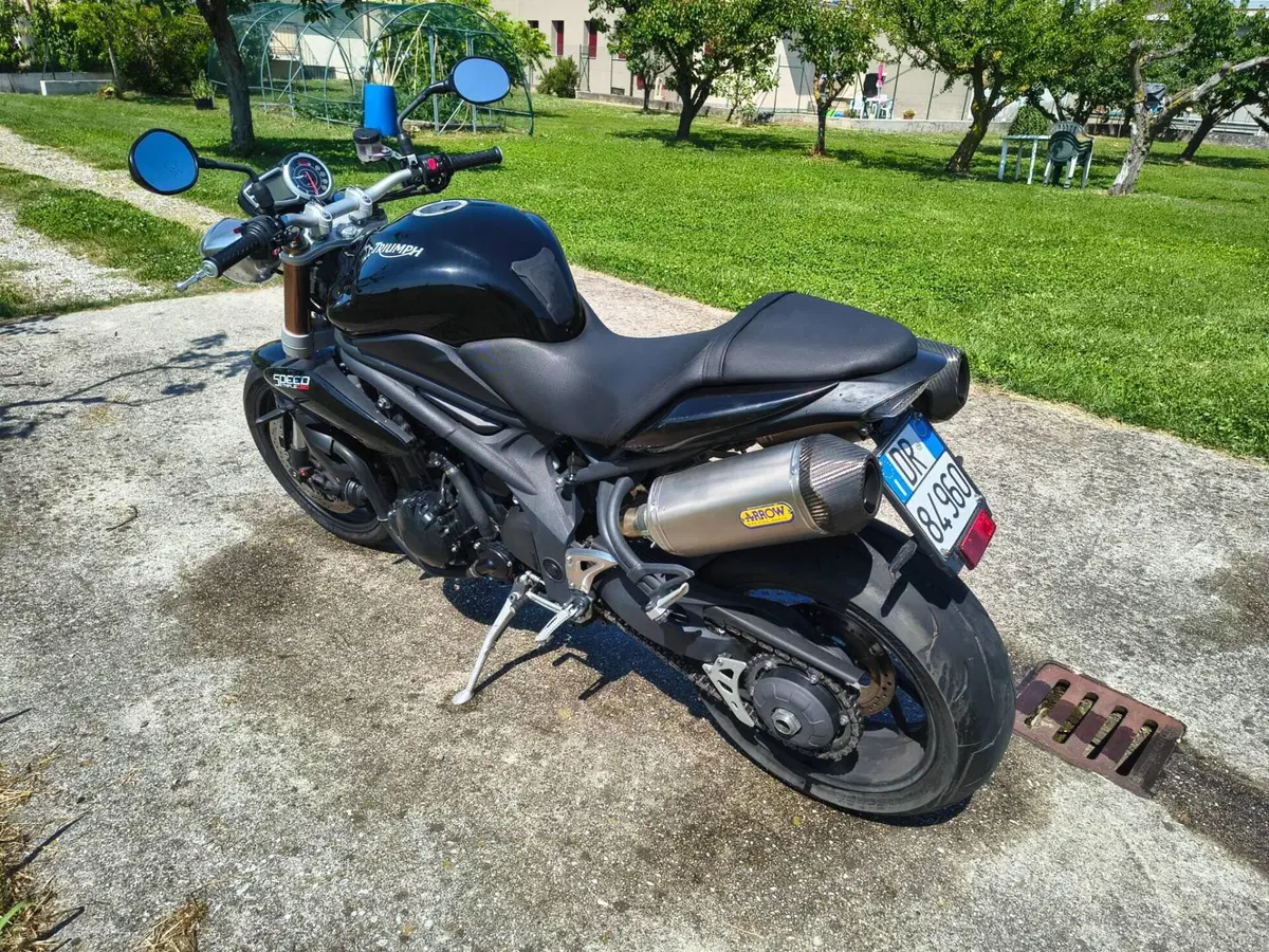 Triumph Speed Triple 1050 (2011 - 13) (3)
