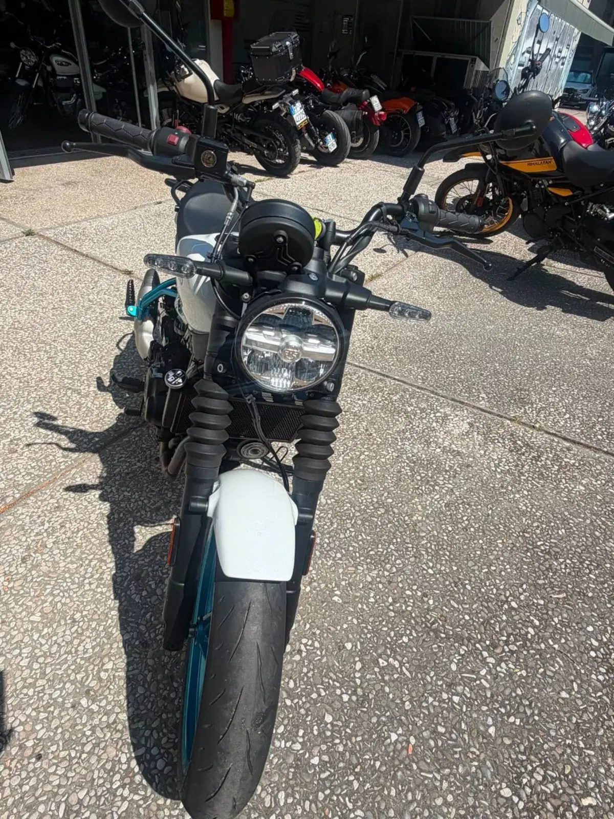 Royal Enfield Guerrilla 450 (2024 - 26) (4)