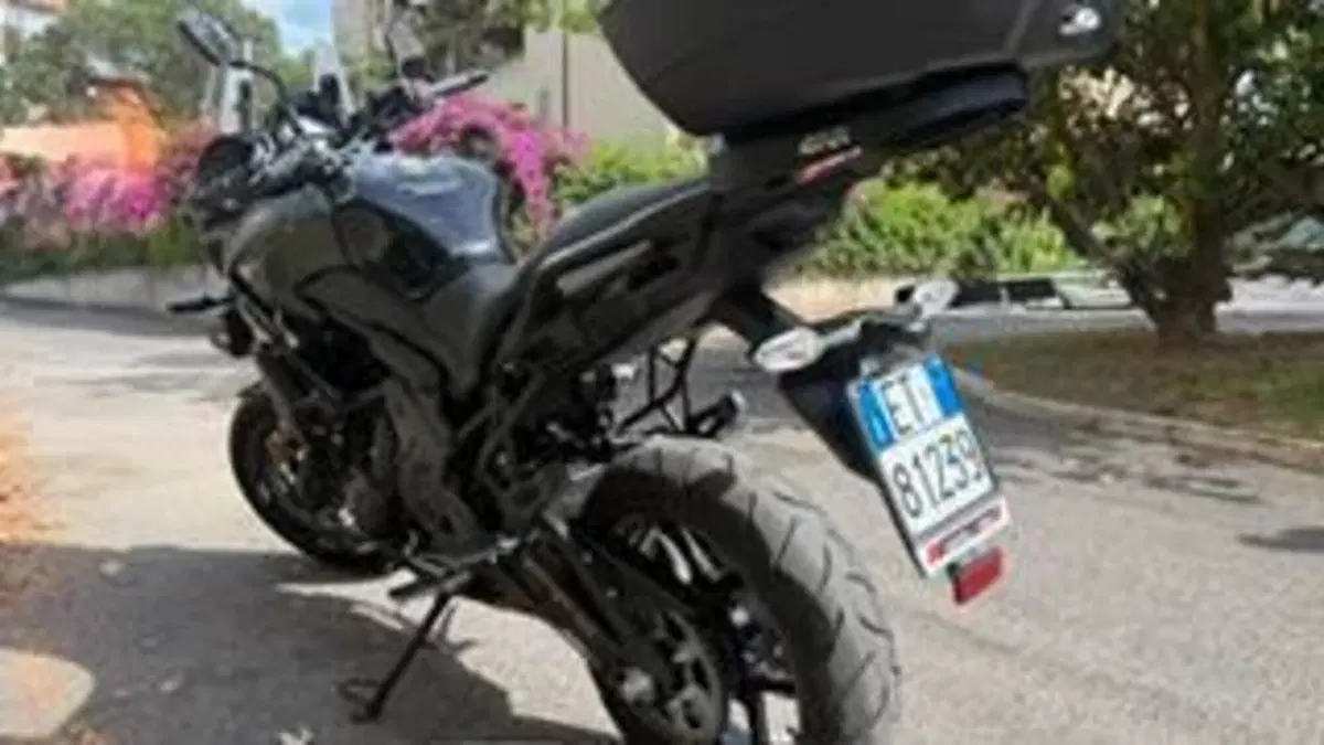 Kawasaki Versys 650 Grand Tourer (2017 - 20) (4)