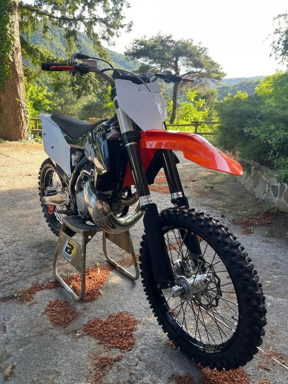 KTM 250 SX (2019) (2)