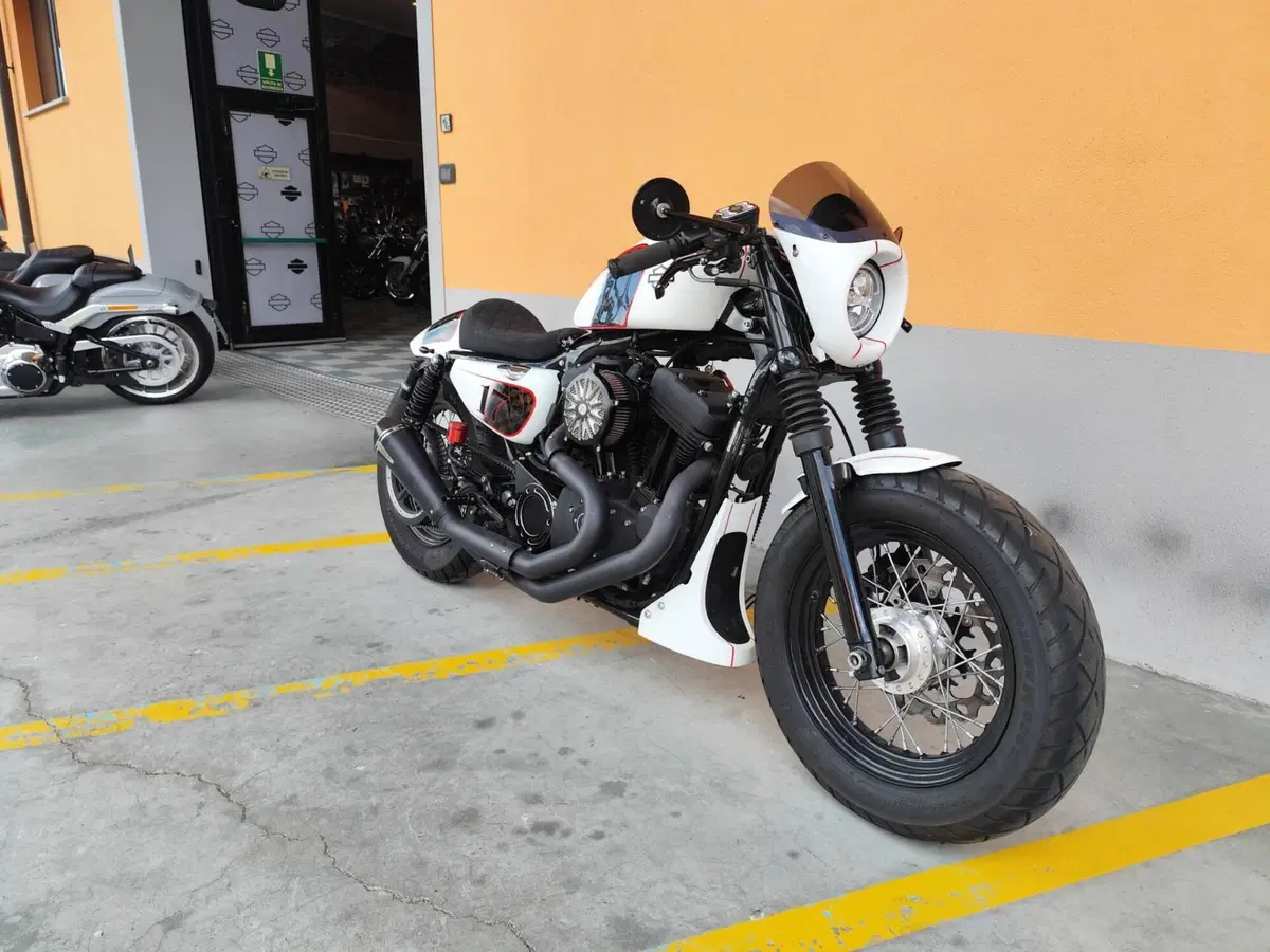 Harley-Davidson 1200 Forty-Eight (2010 - 15) (2)