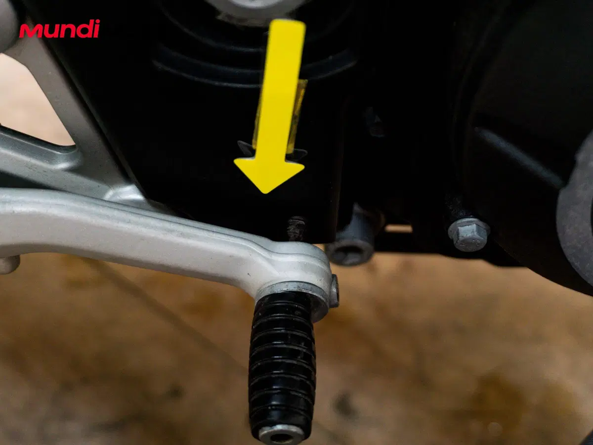 Aprilia Shiver 900 ABS (2017 - 18) (13)