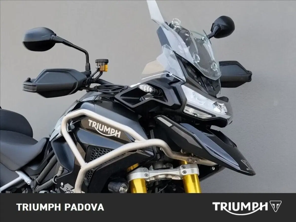 Triumph Tiger 1200 Rally Pro (2022 - 23) (5)