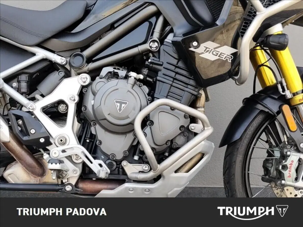 Triumph Tiger 1200 Rally Pro (2022 - 23) (3)