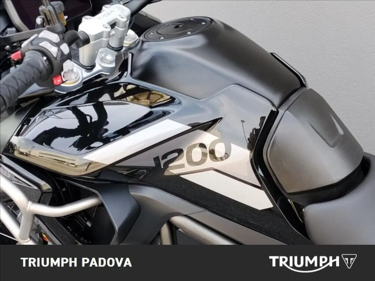 Triumph Tiger 1200 Rally Pro (2022 - 23) (9)