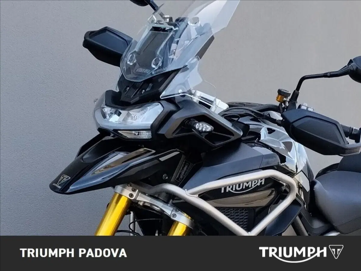 Triumph Tiger 1200 Rally Pro (2022 - 23) (10)