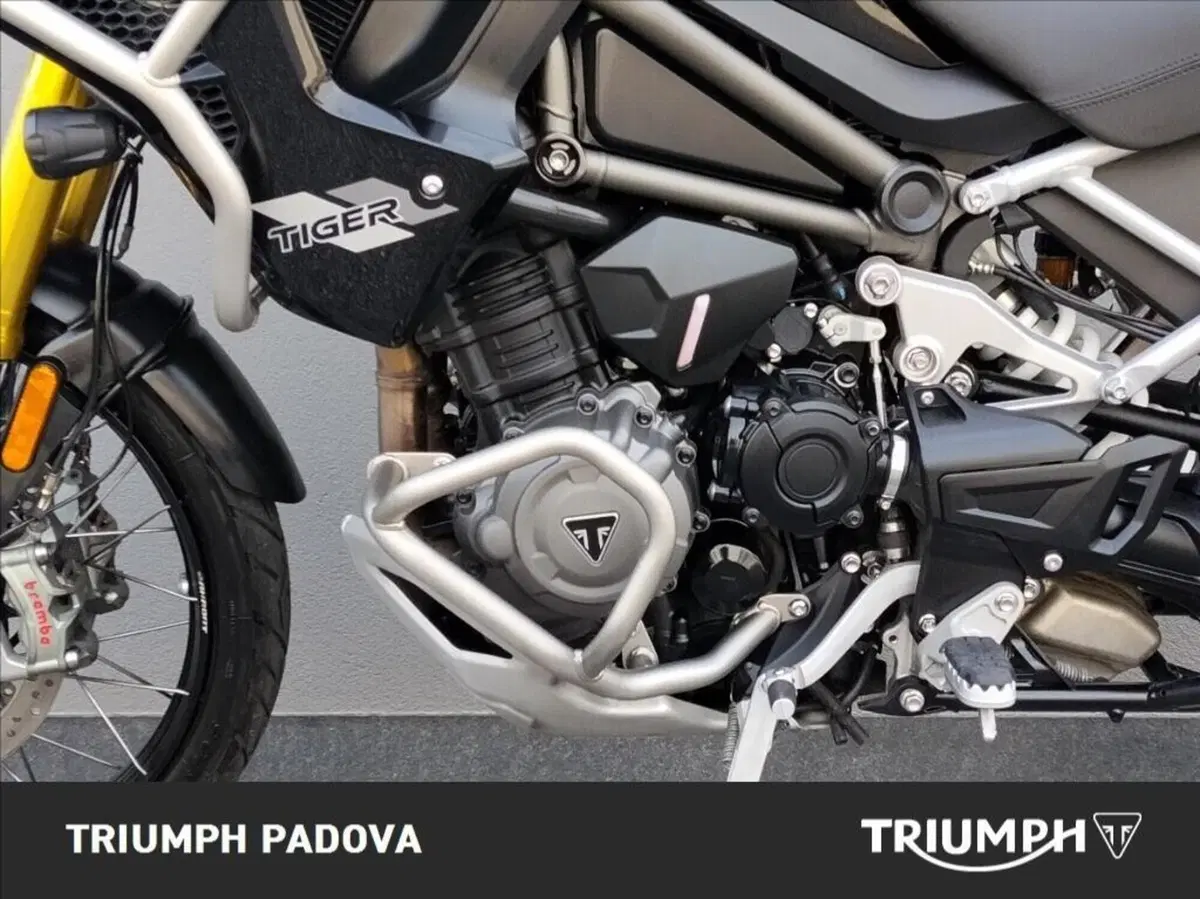 Triumph Tiger 1200 Rally Pro (2022 - 23) (8)