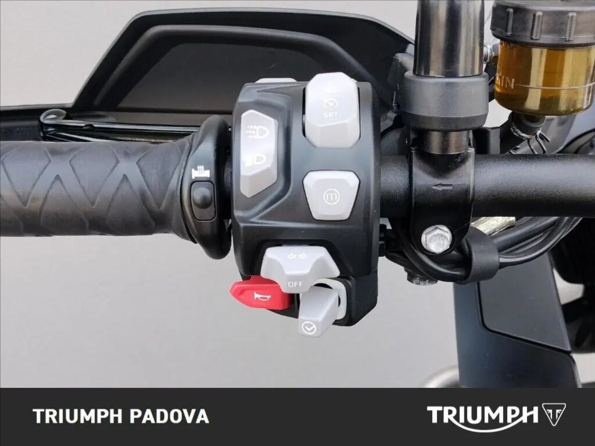 Triumph Tiger 1200 Rally Pro (2022 - 23) (12)