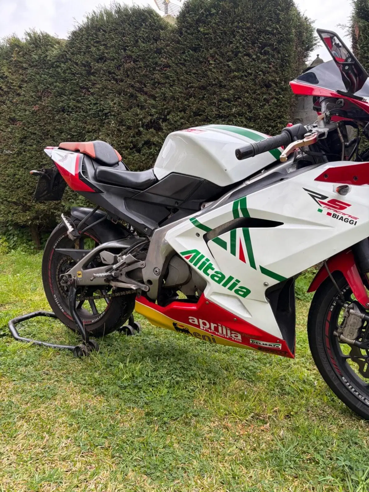 Aprilia RS 125 (2006 - 14) (4)