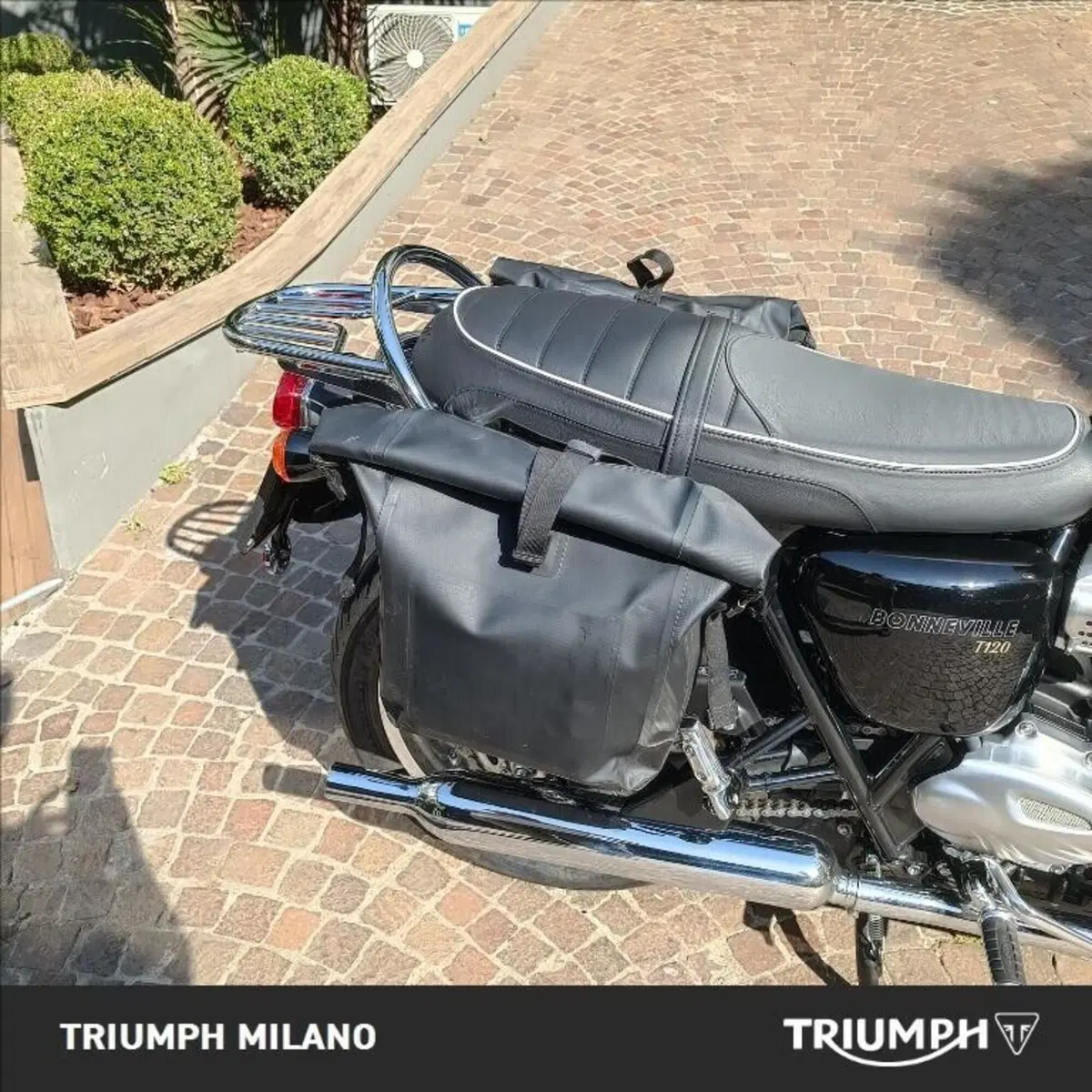 Triumph Bonneville T120 (2021 - 25) (2)
