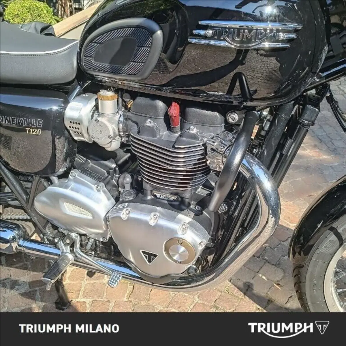 Triumph Bonneville T120 (2021 - 25) (5)