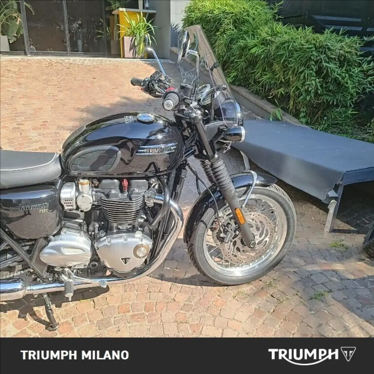 Triumph Bonneville T120 (2021 - 25) (4)