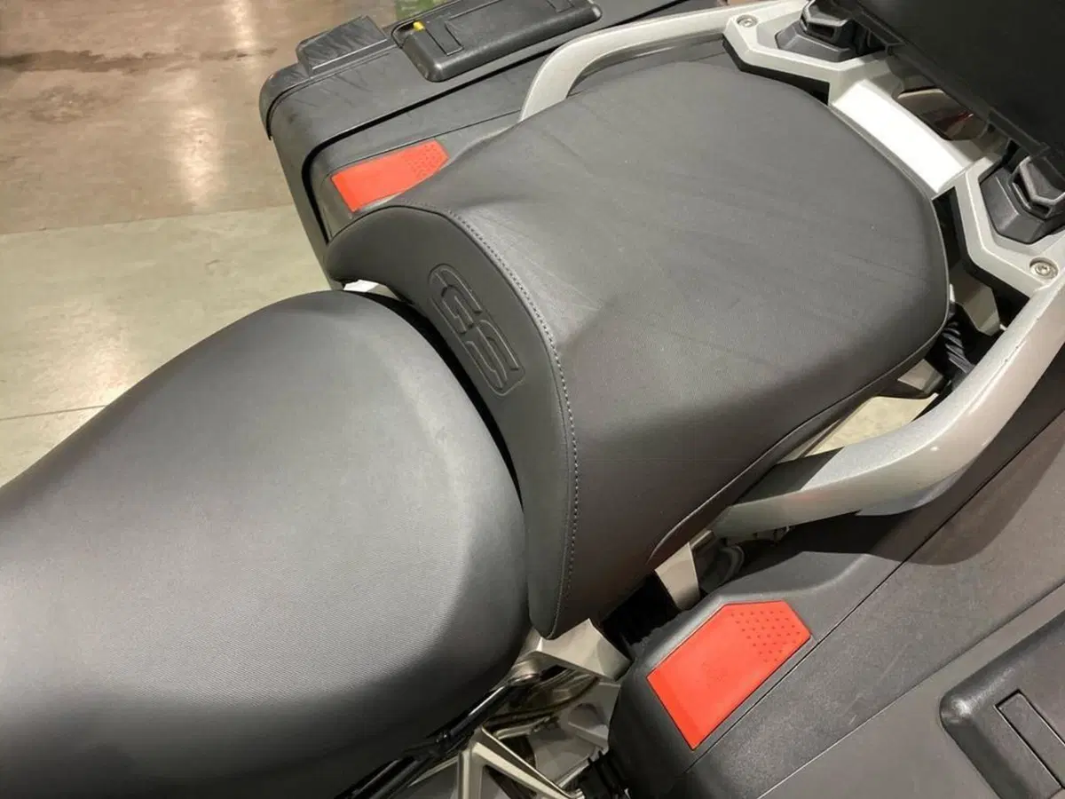 Bmw R 1250 GS (2019 - 20) (11)