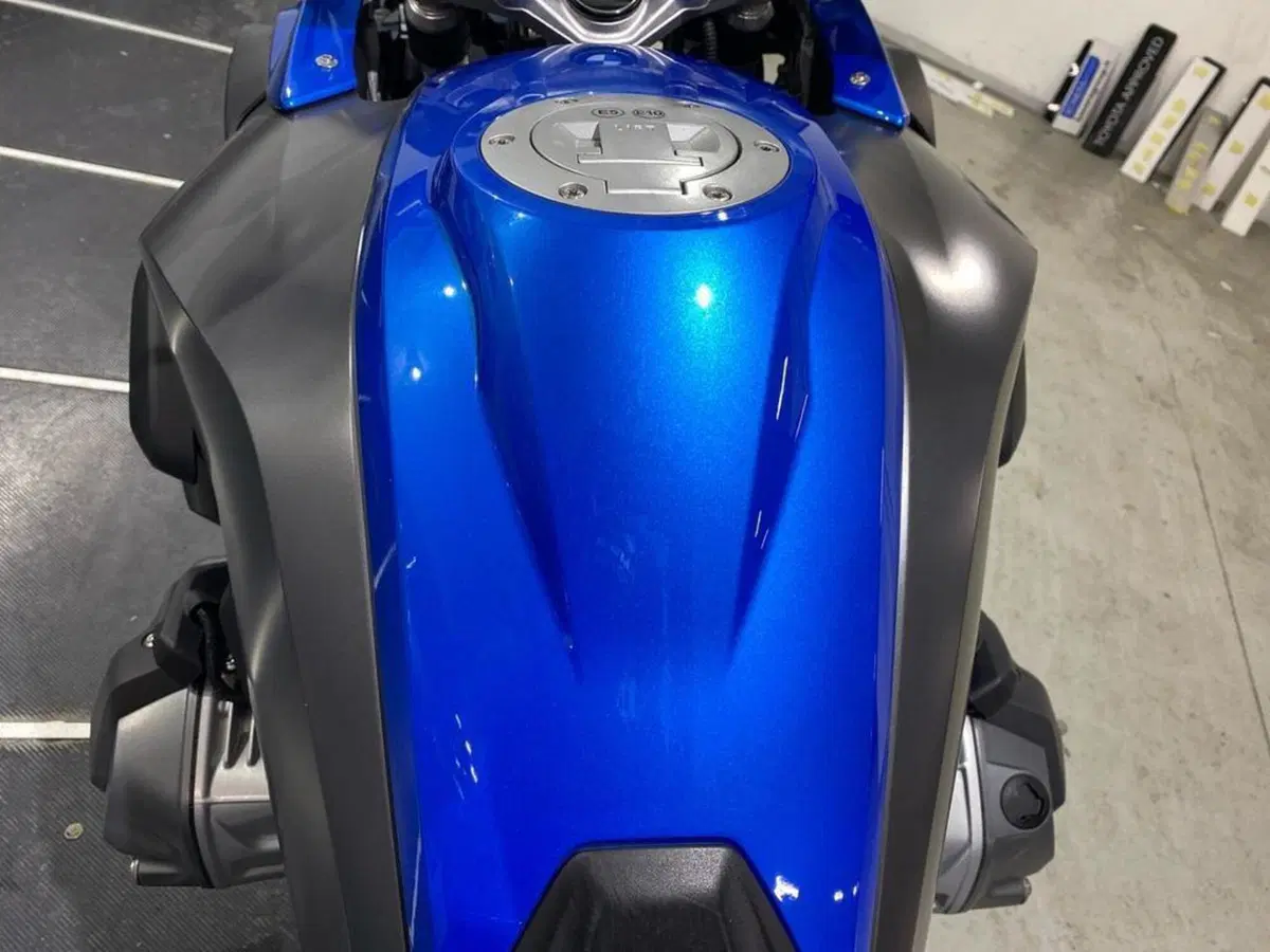 Bmw R 1250 GS (2019 - 20) (9)