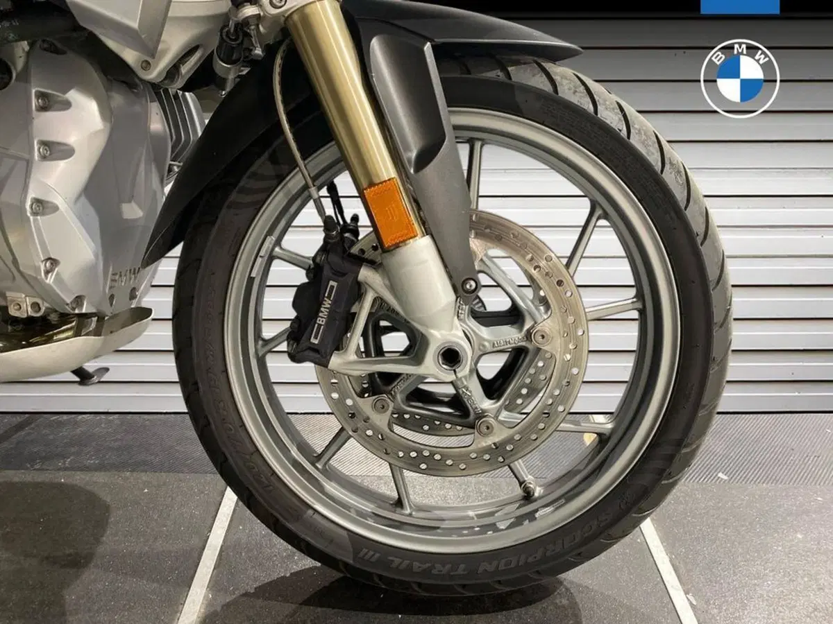 Bmw R 1250 GS (2019 - 20) (14)