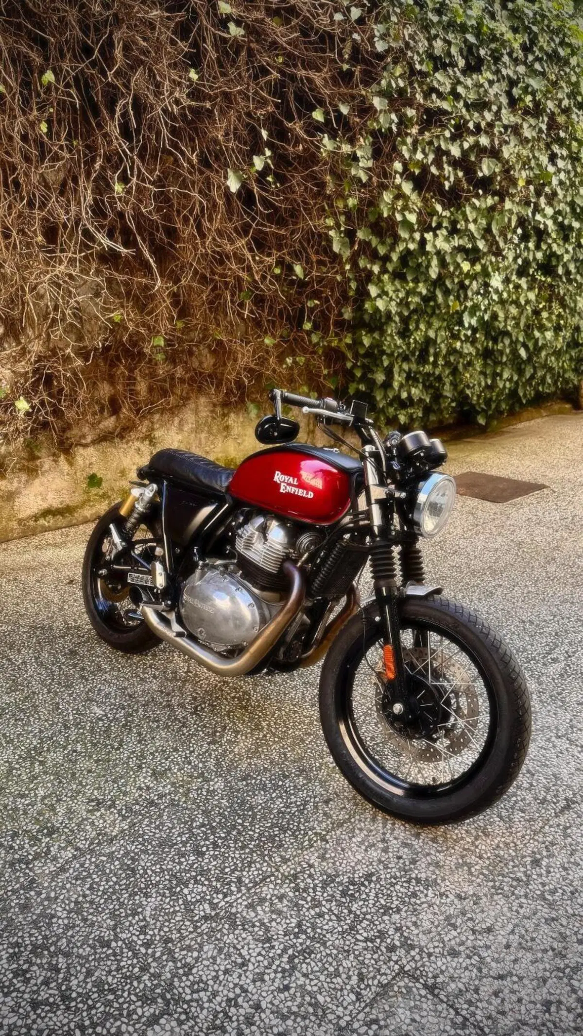 Royal Enfield Interceptor 650 (2021 - 26)