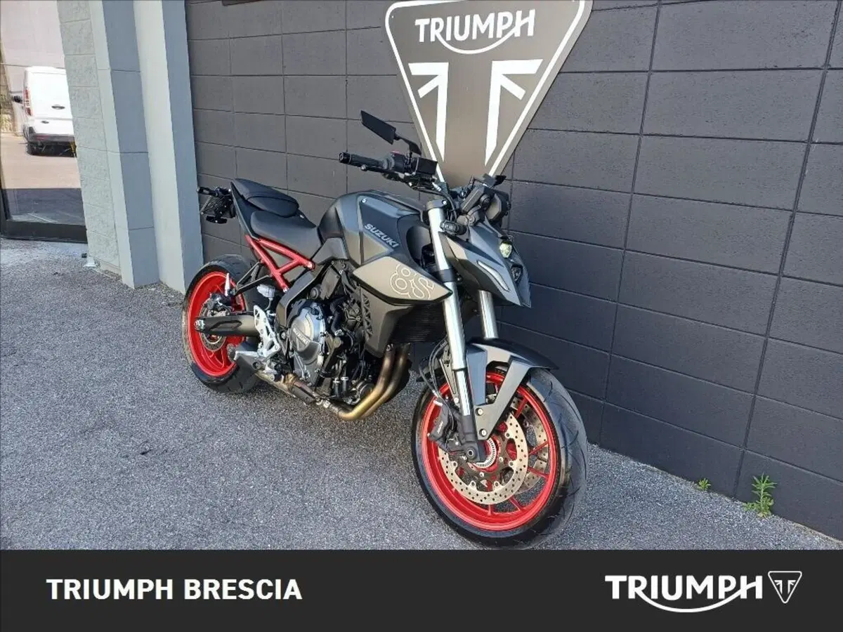 Suzuki GSX-8S (2025 - 26) (2)