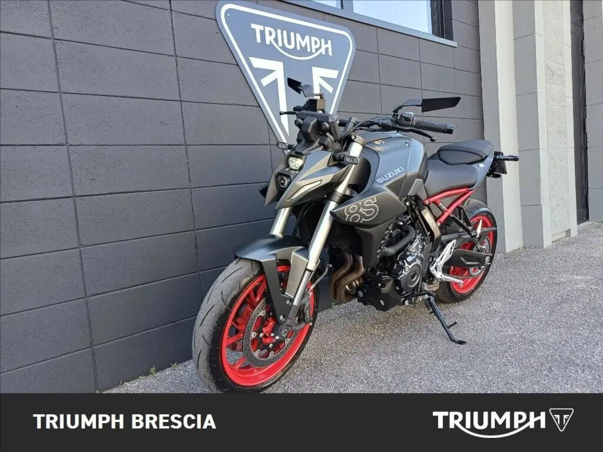 Suzuki GSX-8S (2025 - 26) (11)
