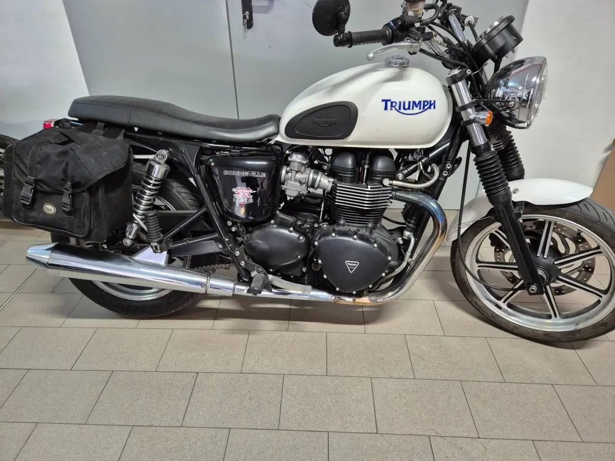 Triumph Bonneville SE (2009 - 13) (3)