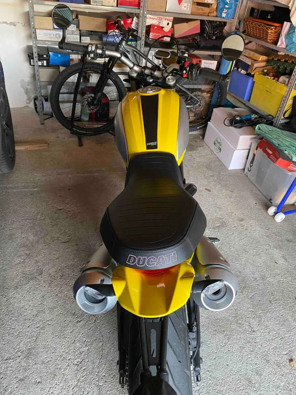 Ducati Scrambler 1100 (2018 - 20) (3)
