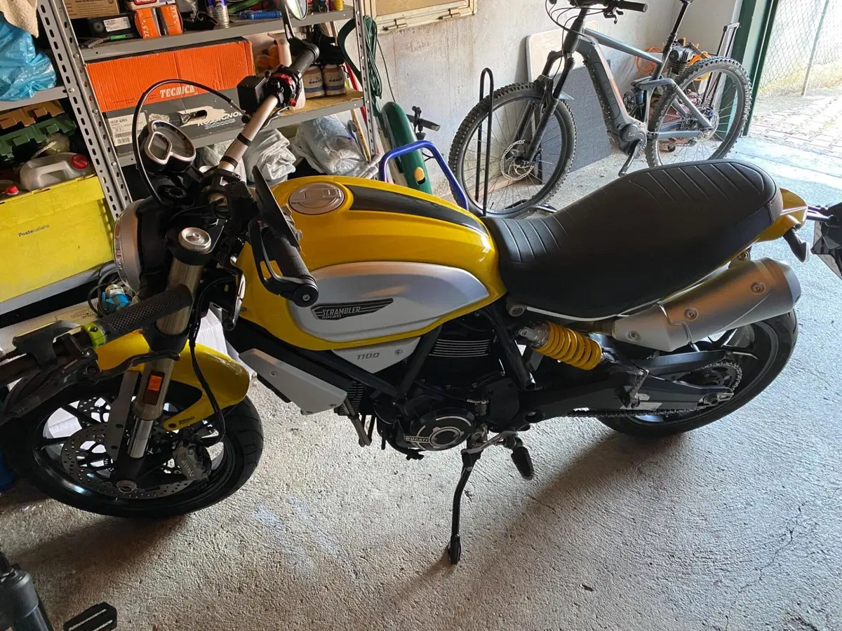Ducati Scrambler 1100 (2018 - 20) (4)