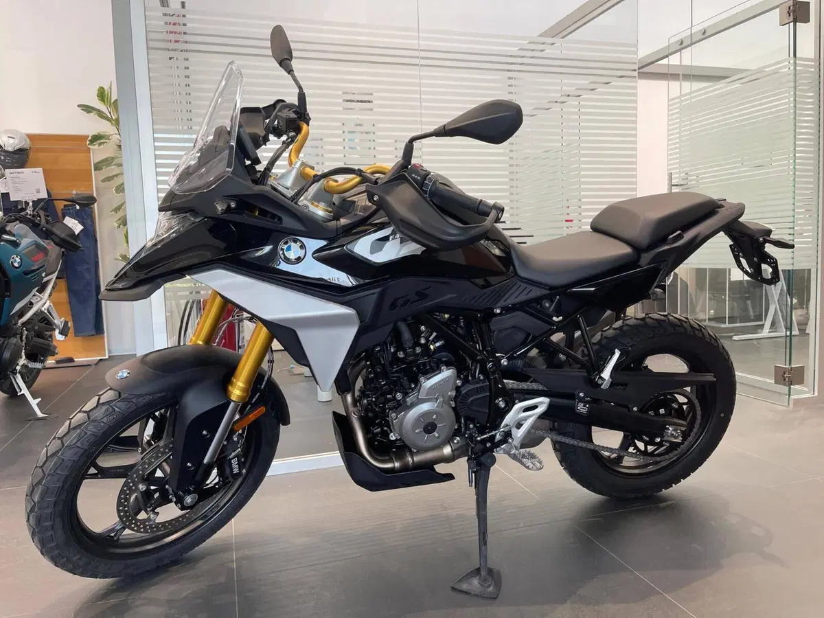 Bmw F 450 GS (2026)