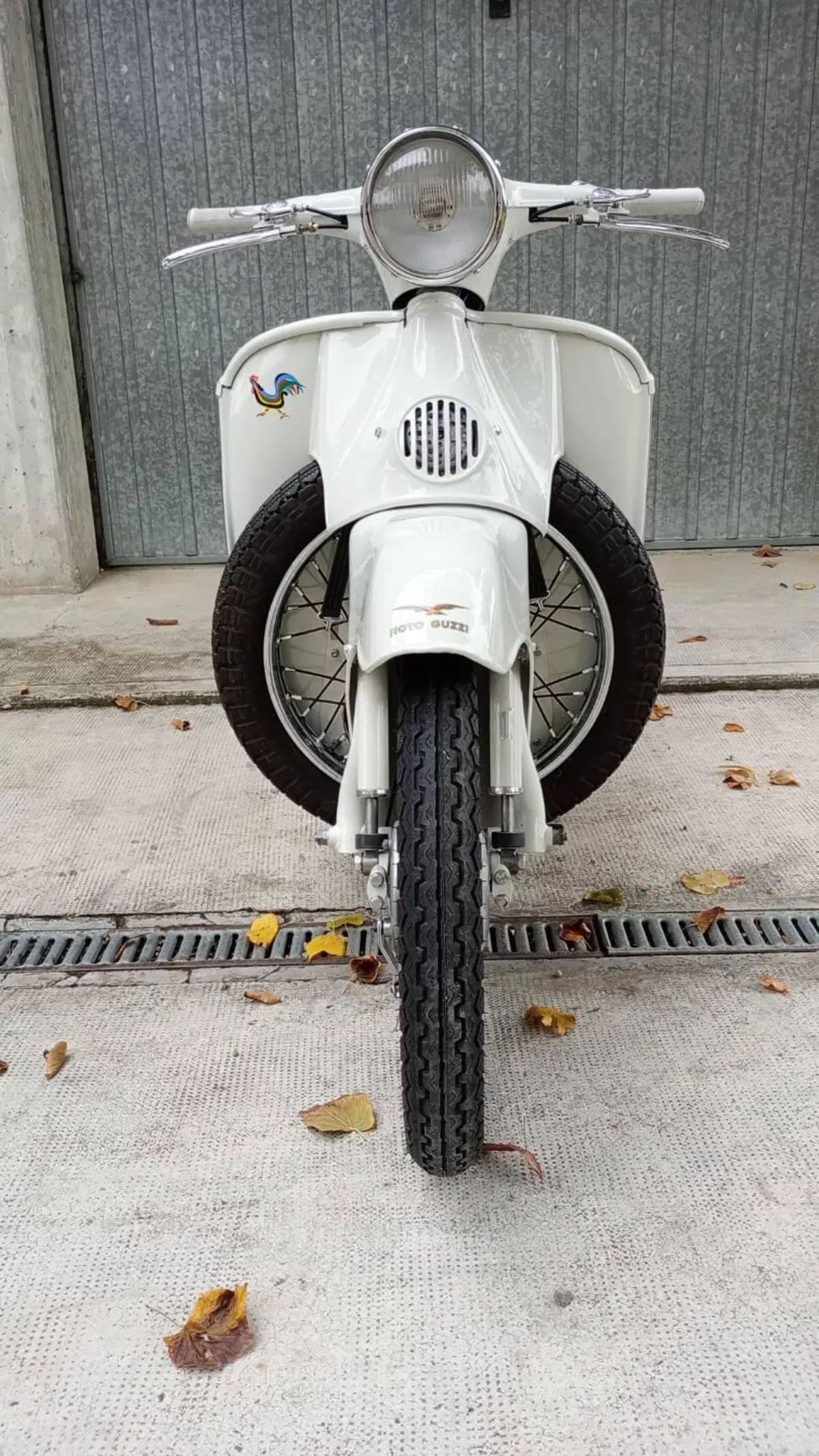 Moto Guzzi Galletto 192 ae (3)