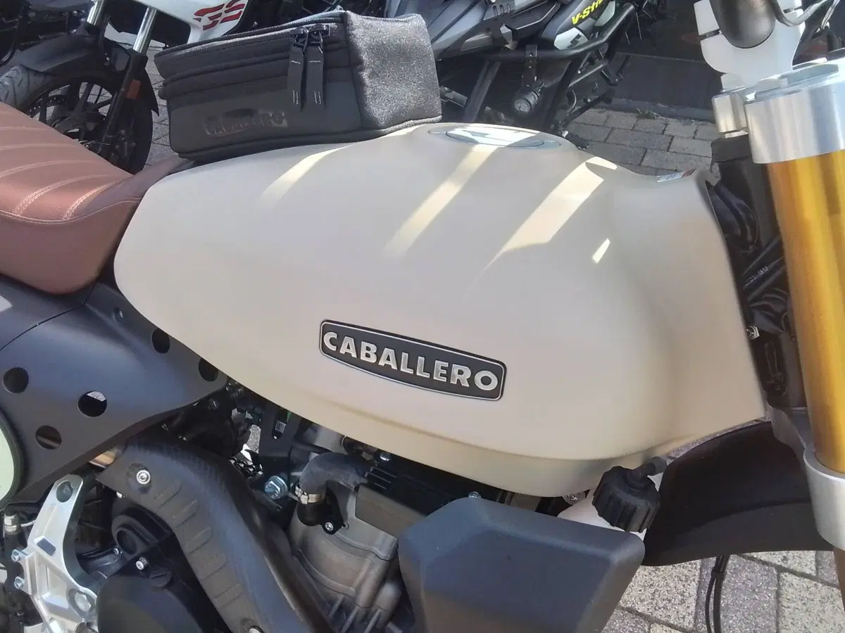 Fantic Motor Caballero 500 Rally (2024) (13)