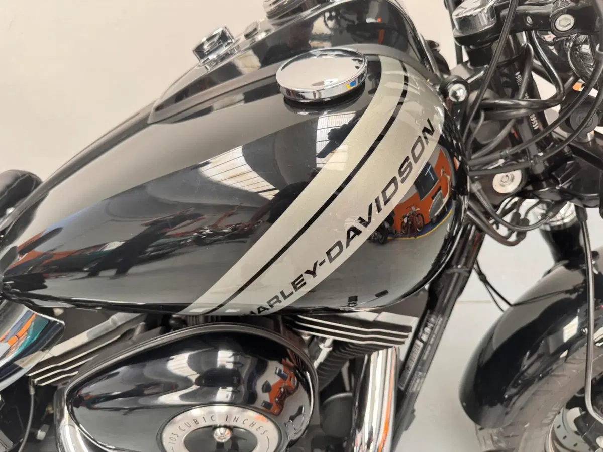 Harley-Davidson 1584 Fat Bob (2007 - 13) - FXDF (13)