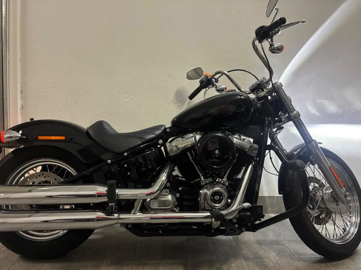 Harley-Davidson Softail Standard (2020) - FXST (3)