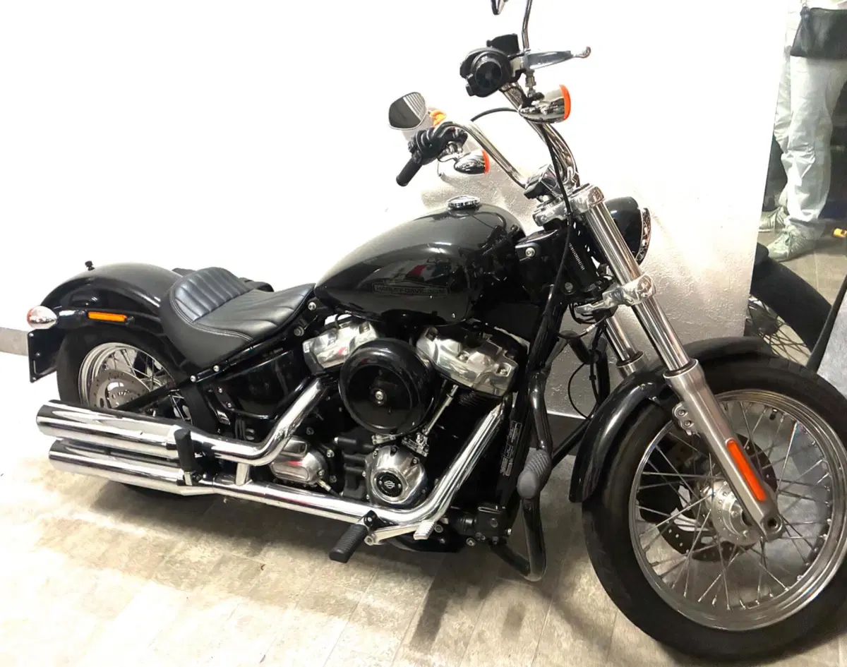 Harley-Davidson Softail Standard (2020) - FXST (5)
