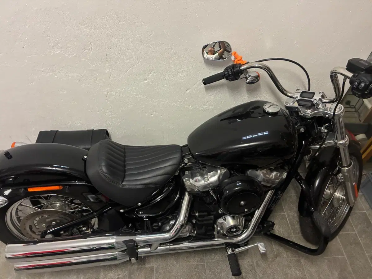 Harley-Davidson Softail Standard (2020) - FXST (7)