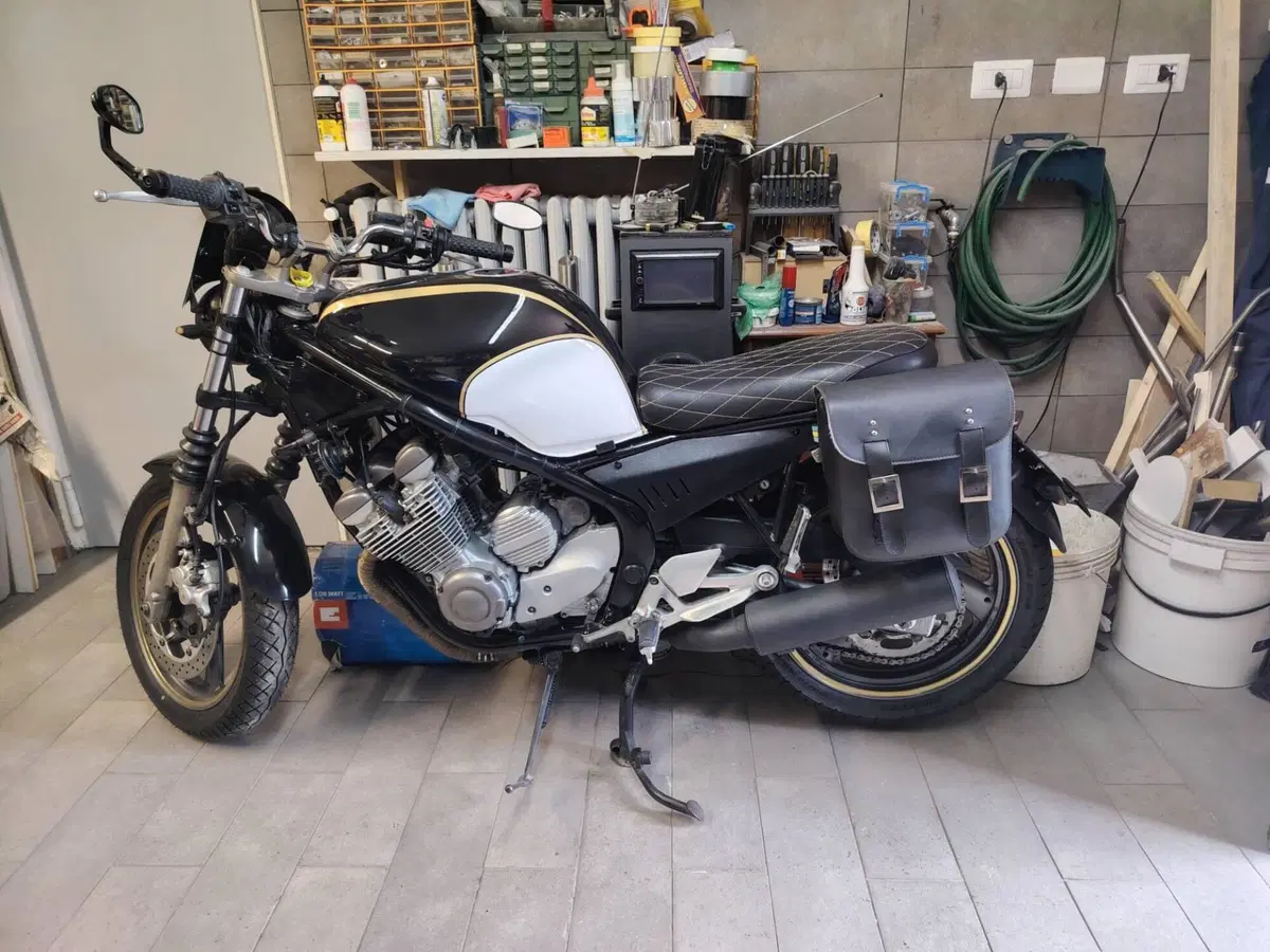 Yamaha XJ 600 S Diversion (1992 - 02)