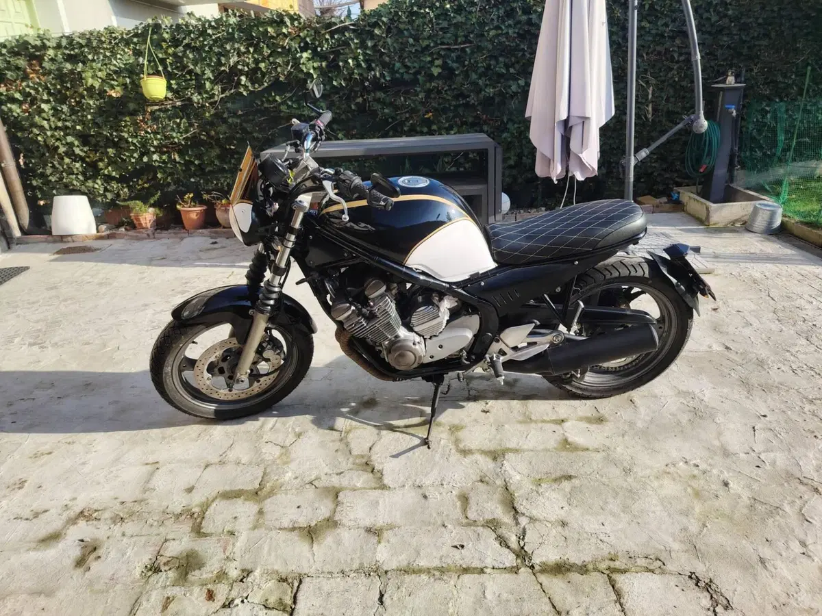 Yamaha XJ 600 S Diversion (1992 - 02) (4)