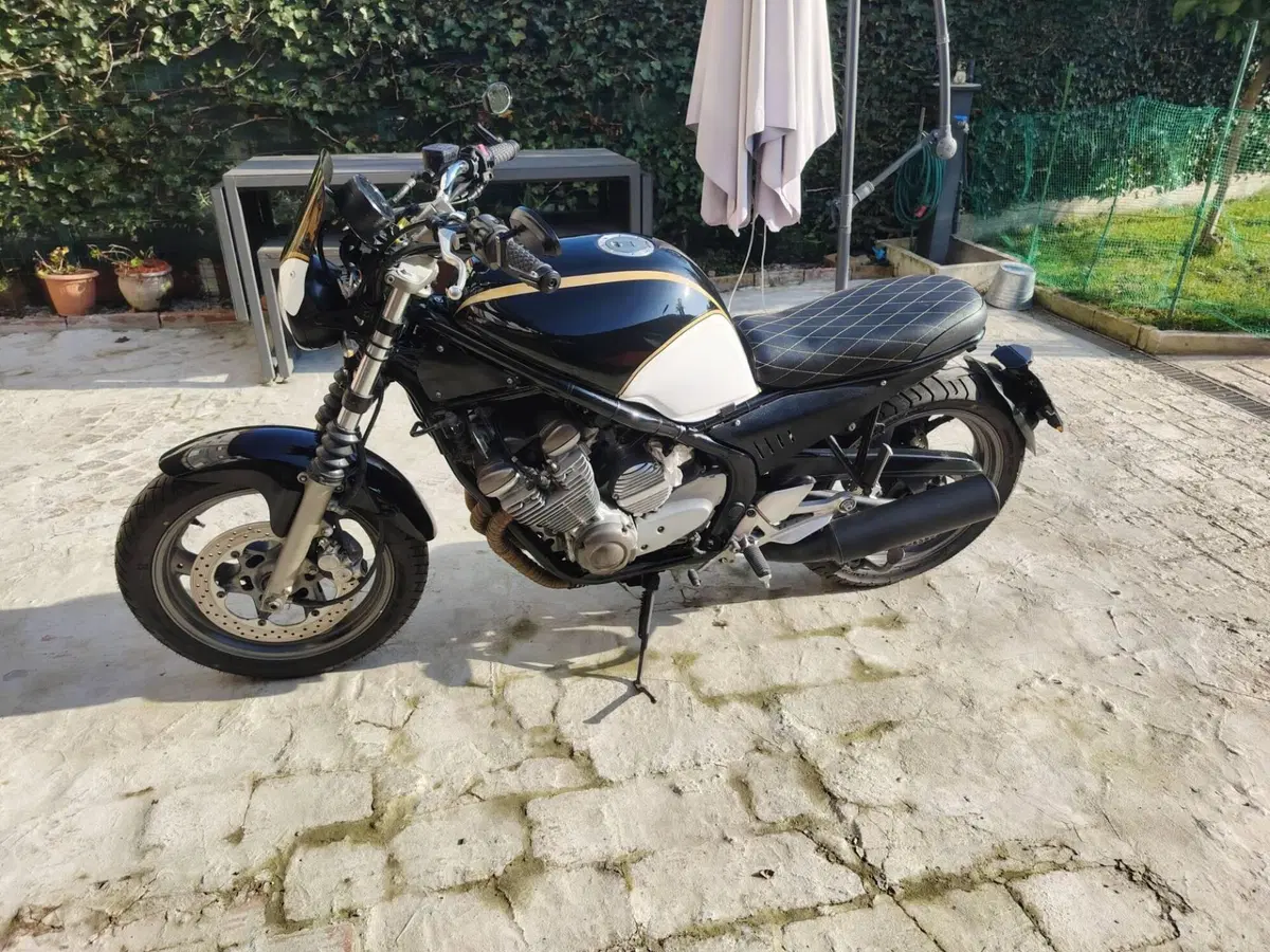 Yamaha XJ 600 S Diversion (1992 - 02) (5)