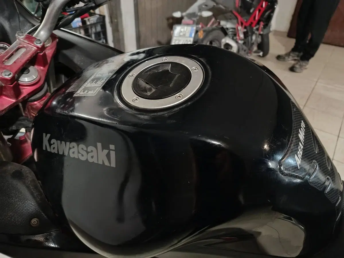 Kawasaki ER-6F (2006 - 08) (15)