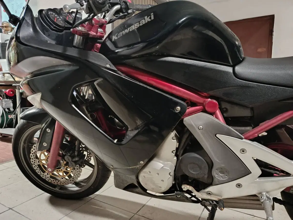 Kawasaki ER-6F (2006 - 08) (16)