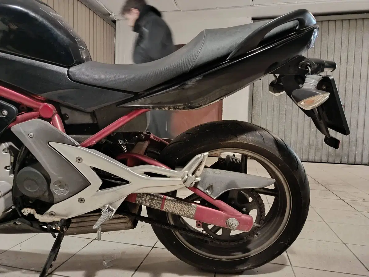 Kawasaki ER-6F (2006 - 08) (17)