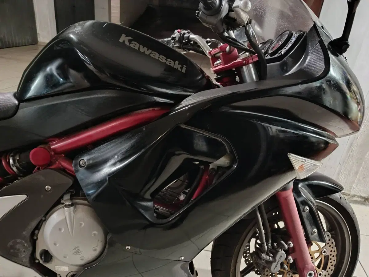 Kawasaki ER-6F (2006 - 08) (20)