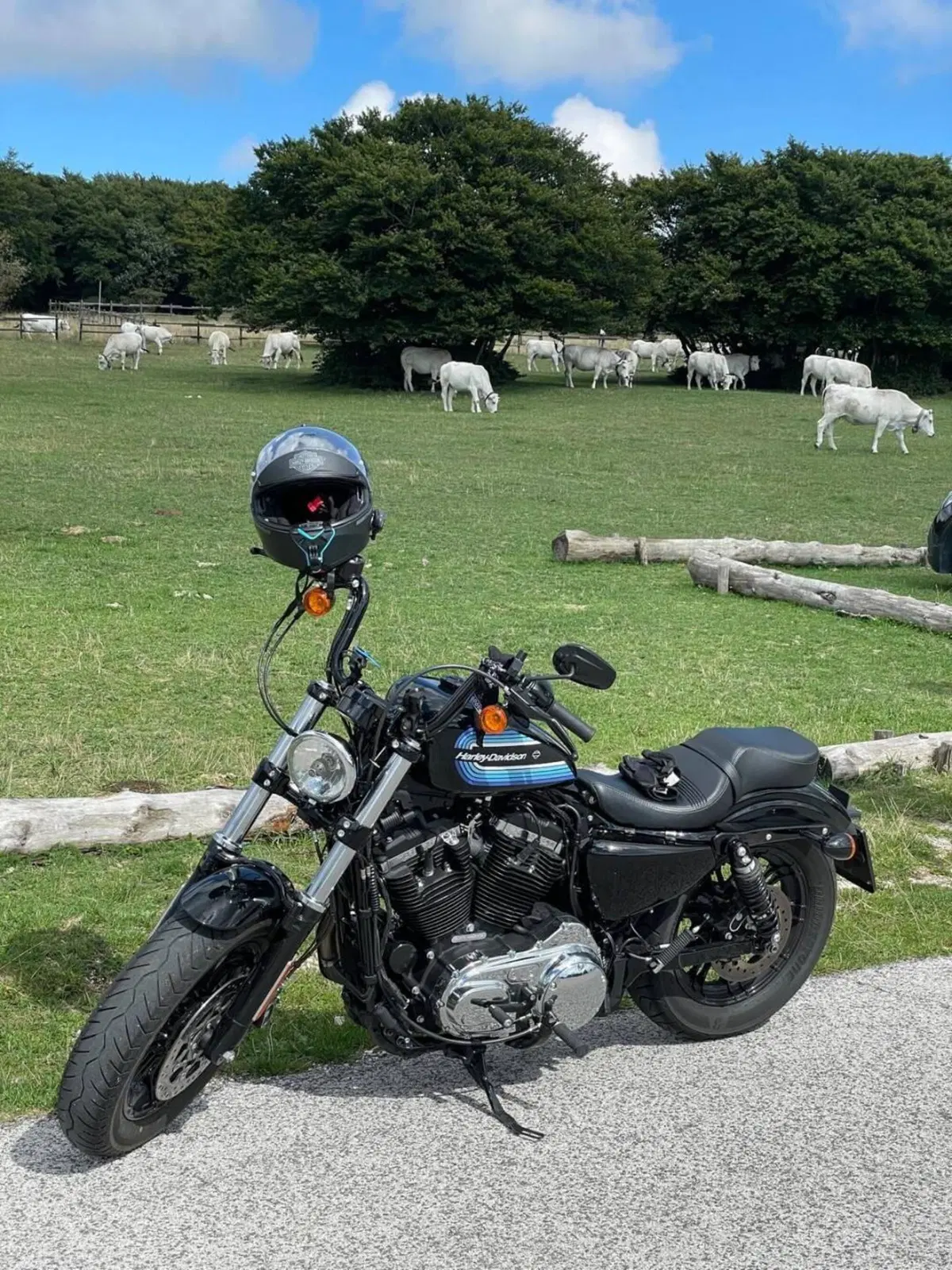 Harley-Davidson 1200 Forty-Eight Special (2018 - 20)