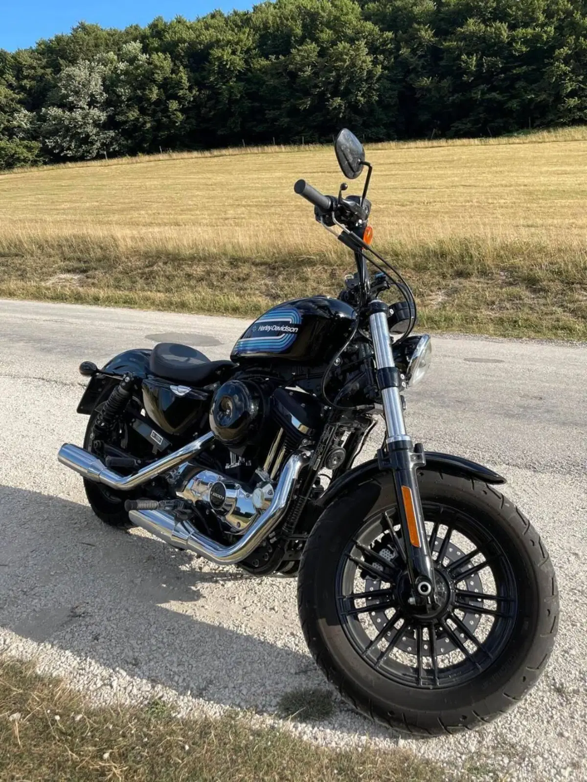 Harley-Davidson 1200 Forty-Eight Special (2018 - 20) (2)