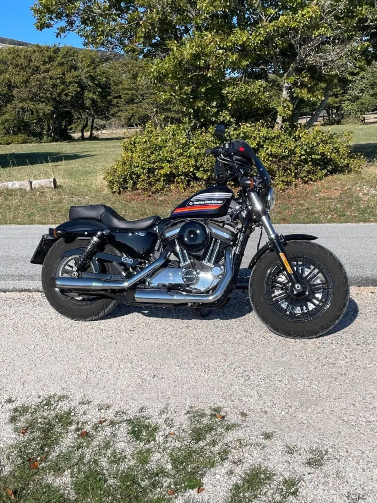 Harley-Davidson 1200 Forty-Eight Special (2018 - 20) (3)