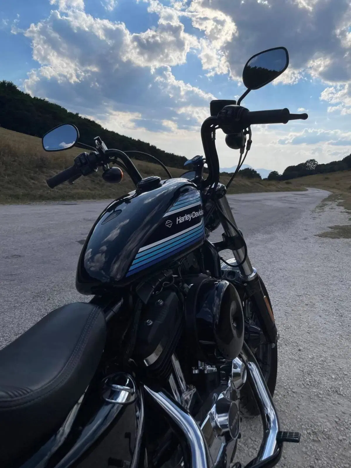 Harley-Davidson 1200 Forty-Eight Special (2018 - 20) (4)