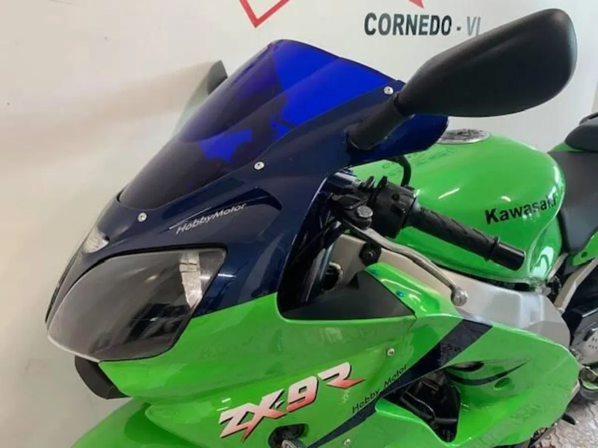 Kawasaki Ninja 900 ZX-9R (1998 - 01) (7)