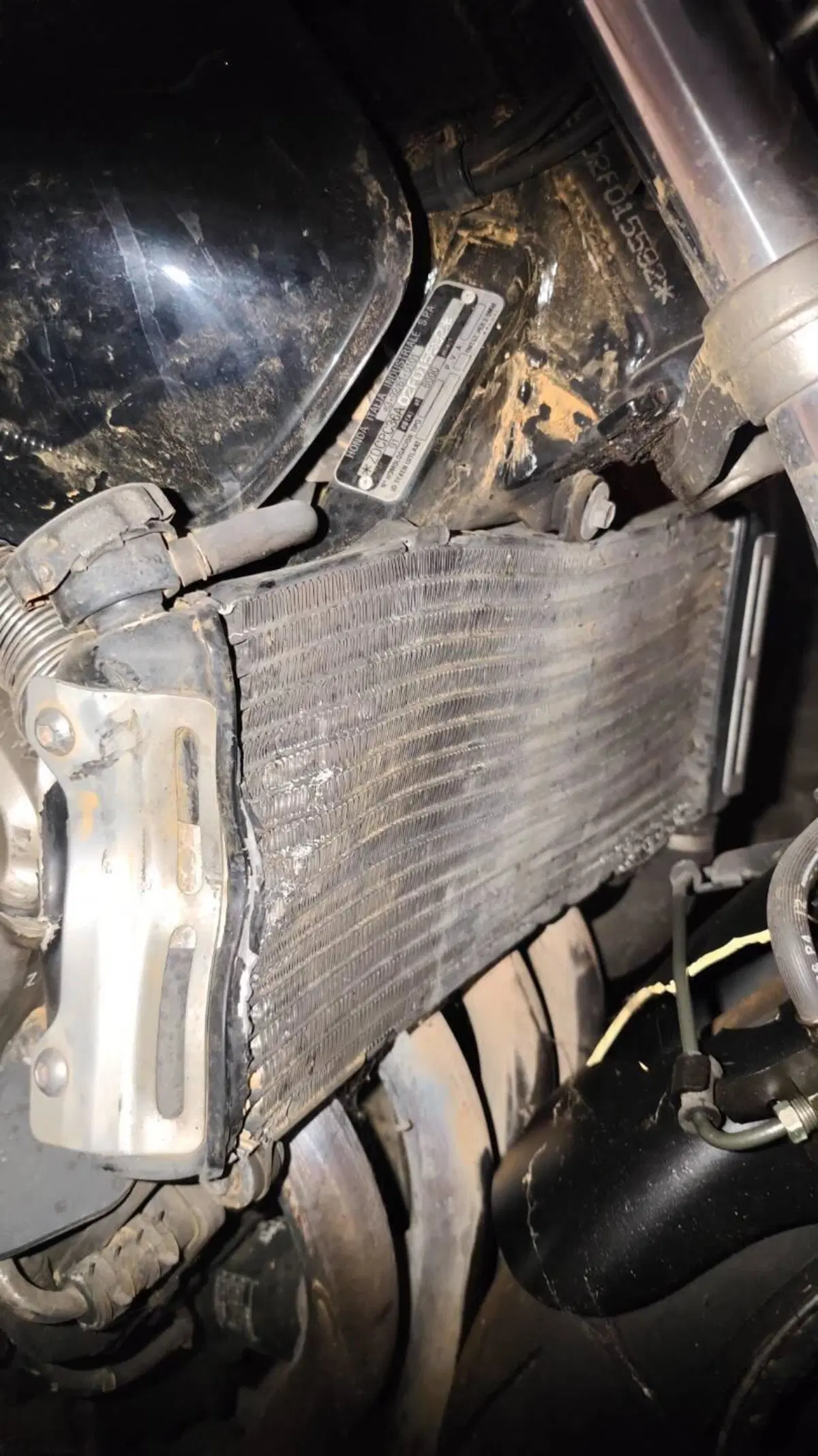 Honda Hornet 600 (2000 - 02) (2)